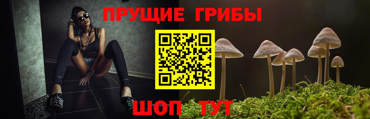 Галлюциногенные грибы ЛСД Ефремов